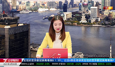 砖家周周谈2021-03-20