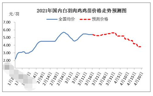 肉鸡养殖迎来“新转机”？