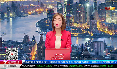 机构策略师2021-03-23