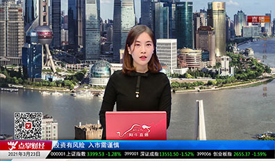 解码公司2021-03-23