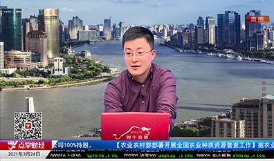 解码公司2021-03-24