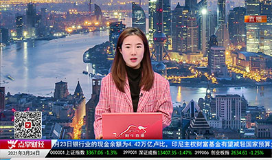 机构策略师2021-03-24