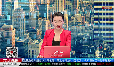 白领理财2021-03-25