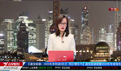 主题投资2021-03-25