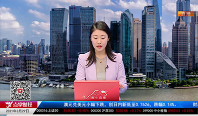 名家视点2021-03-29