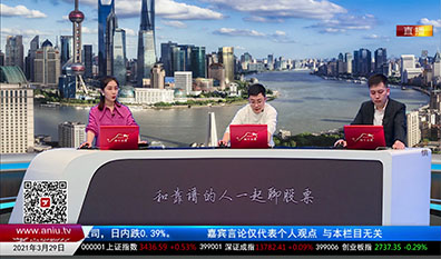 解码公司2021-03-29