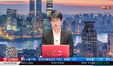 机构策略师2021-03-29