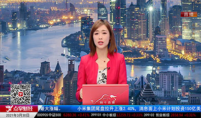 股票VIP2021-03-30