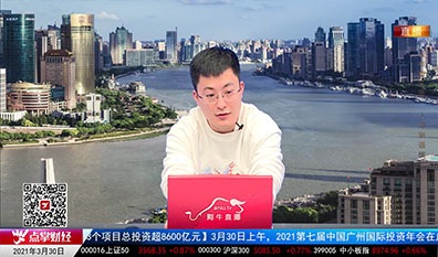 解码公司2021-03-30