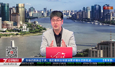 首席投顾2021-03-31