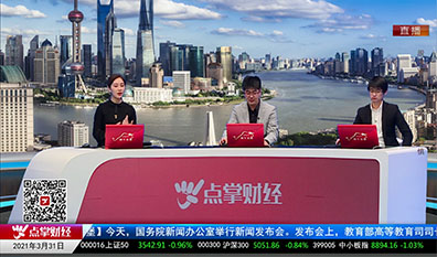 解码公司2021-03-31