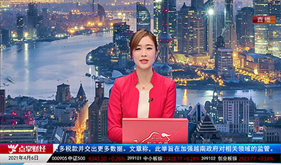 机构策略师2021-04-06