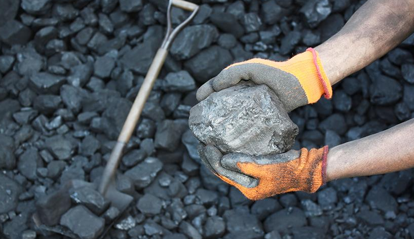 煤价表现趋强，板块仍有上行动力！