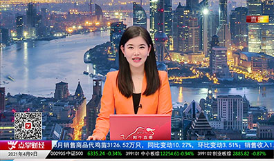 机构策略师2021-04-09