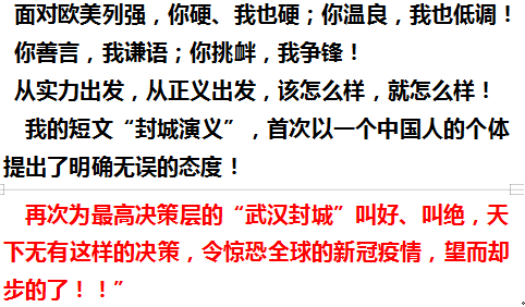 武汉封城解禁一周年，再发我的围成演义，以示纪念！！