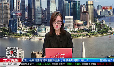 首席投顾2021-04-13