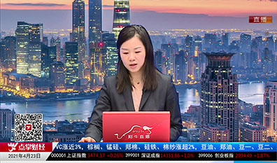 机构策略师2021-04-23