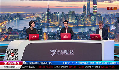 机构策略师2021-04-29