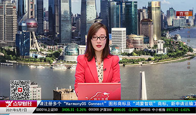 首席投顾2021-05-07