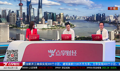 行业预测2021-05-11