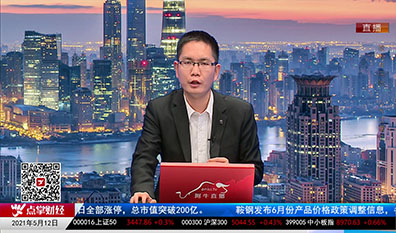 机构策略师2021-05-12
