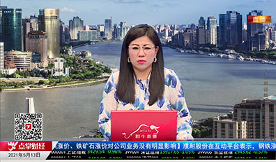 首席投顾2021-05-13
