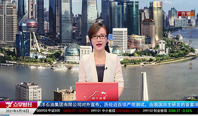 行业预测2021-05-18