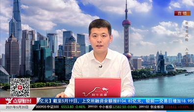 名家视点2021-05-20