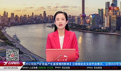 机构策略师2021-05-20