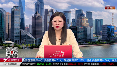 名家视点2021-05-24
