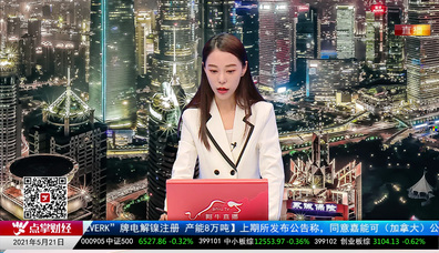 机构策略师2021-05-21