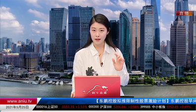 机构看股2021-05-25