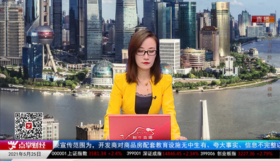 首席投顾2021-05-25