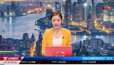 机构策略师2021-05-25