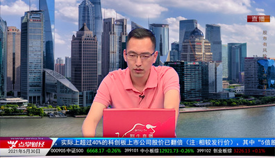 王道投资2021-05-30
