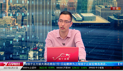 量化热点股2021-05-31