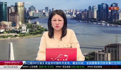 聚焦新动能2021-05-30
