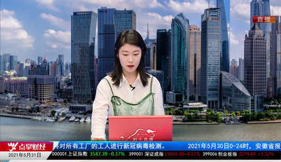 机构看股2021-05-31