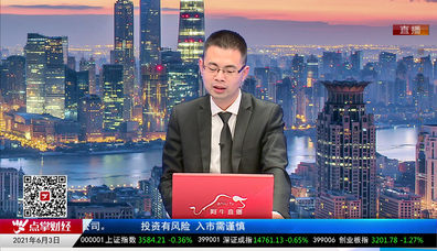机构策略师2021-06-03