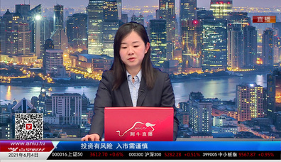 机构策略师2021-06-04