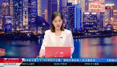 股票一招先2021-06-06