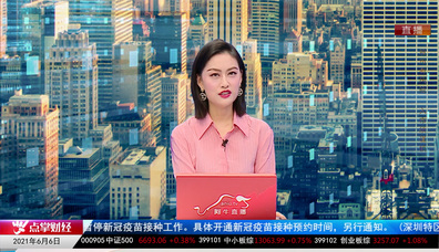 一周策略会2021-06-06
