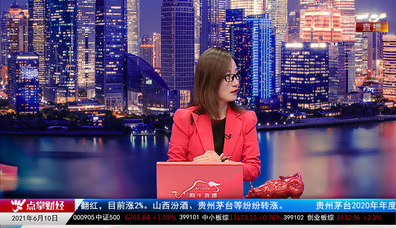 主题投资2021-06-10