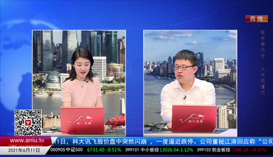 解码公司2021-06-11