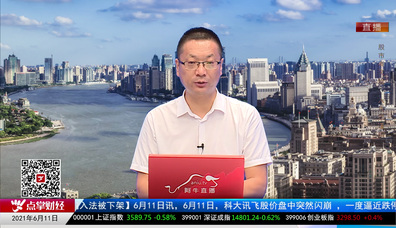 首席投顾2021-06-11