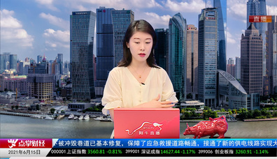机构看股2021-06-15