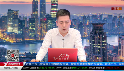 机构策略师2021-06-11