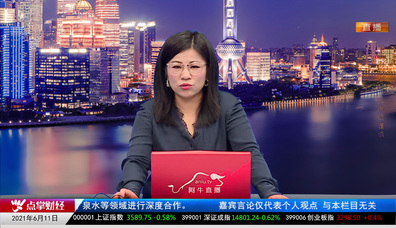 主题投资2021-06-11