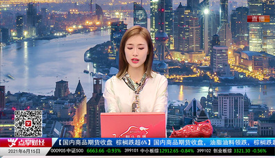 机构策略师2021-06-15