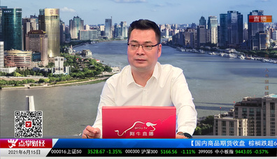 首席投顾2021-06-15